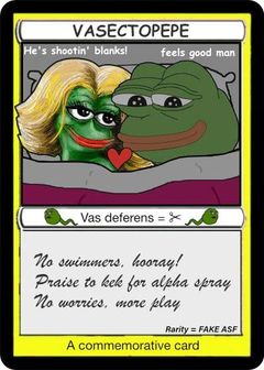 VASECTOPEPE