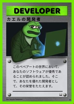 DEVELOPEPER