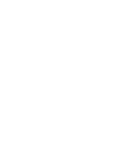 PEPEARTEFACT