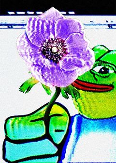 NICEDAYPEPE