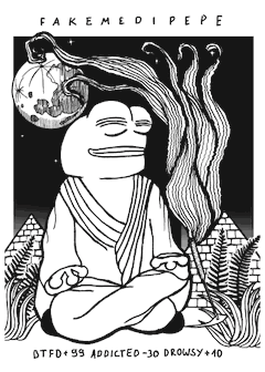 FAKEMEDIPEPE