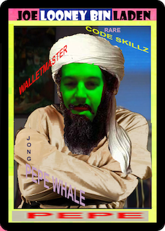 JOELOONEYBIN